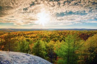 Ontario - Indian Summer Wald