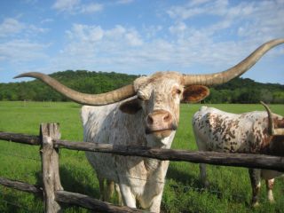 Tourweb-Fernweh-Angebote/USA/Texas/Graham