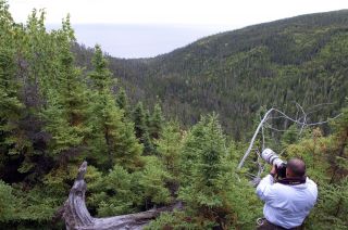 Tourweb-Fernweh-Angebote/Kanada/Quebec/BaieComeau