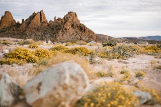 Tourweb-Fernweh-Angebote/Texas/Big Bend2