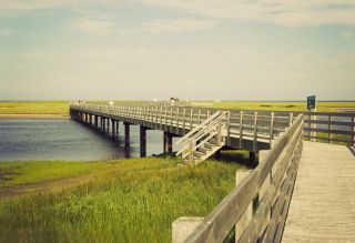 Maritime - New Brunswick Kouchibouguac N.P.