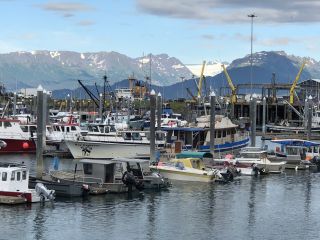 Alaska - Homer Hafen
