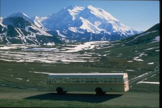 Alaska - Denali Bustour