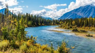 Yukon - Kluane N.P.