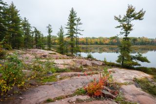 Ontario - Killarney