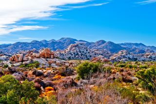 Kalifornien - Fahrt Wüste
