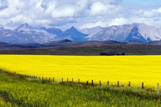 Alberta - Fahrt Calgary - Waterton