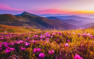 British Columbia - Manning