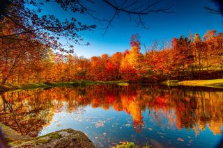 Neuengland Staaten - Fahrt Herbstwald