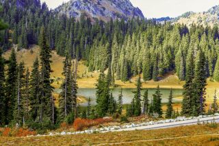Washington state - Mount Rainier