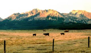 Tourweb-Fernweh-Angebote/USA/Idaho/A