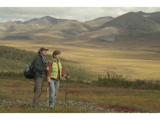 Tourweb-Fernweh-Angebote/Yukon/Dempster-Hwy-01