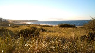 Tourweb-Fernweh-Angebote/USA/Neu England// Plymouth white horse