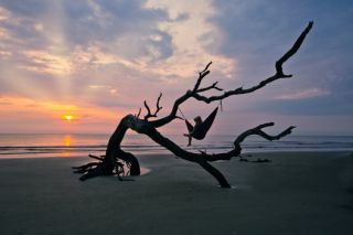 Tourweb-Fernweh-Angebote/USA/Südstaaten/Jekyll Island 1