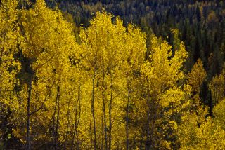 Tourweb-Fernweh-Angebote/Canada/Provincial Park 2