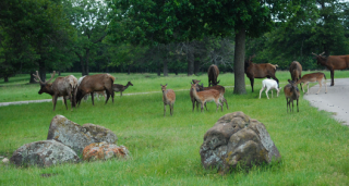 Tourweb-Fernweh-Angebote/USA/Bartlesville