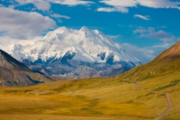 Denali Nationalpark Startseite