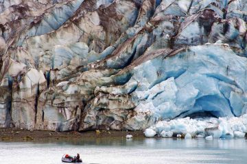 Glacier Bay Startseite