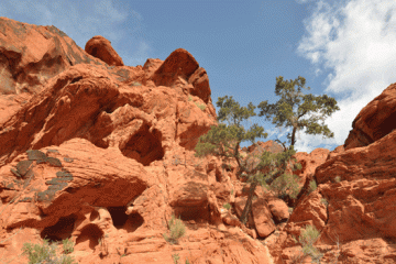 Valley of Fire3