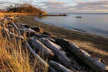 Pacific Rim Nationalpark