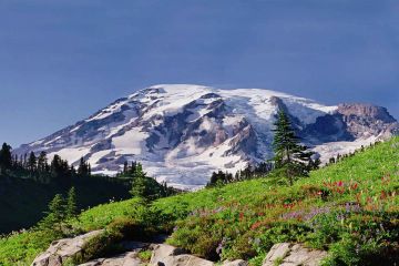 Mt Rainier Startseite