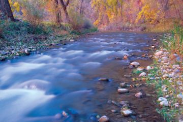 Zion NP 2