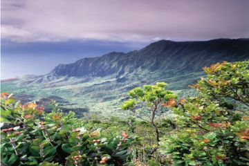 Kauai