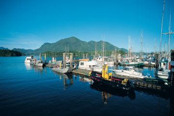 Tofino