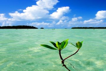 Key Largo